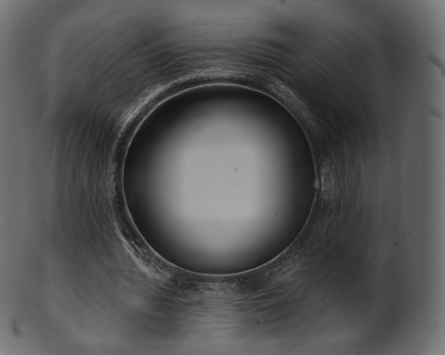 X0000102020436200807181330
