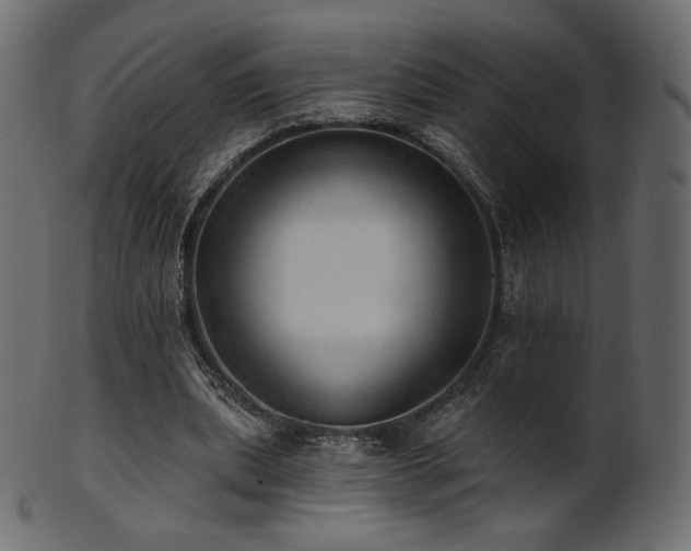 X0000102020439200807181330