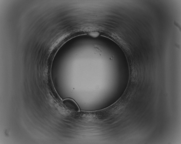 X0000102020440200807181330