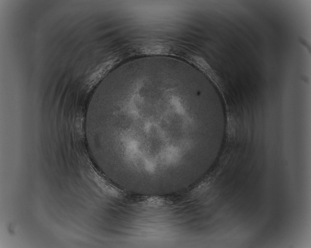 X0000102020441200807181330