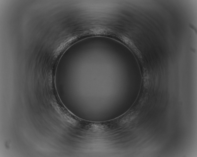 X0000102020442200807181330