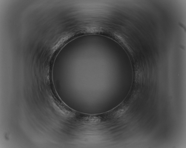 X0000102020443200807181330