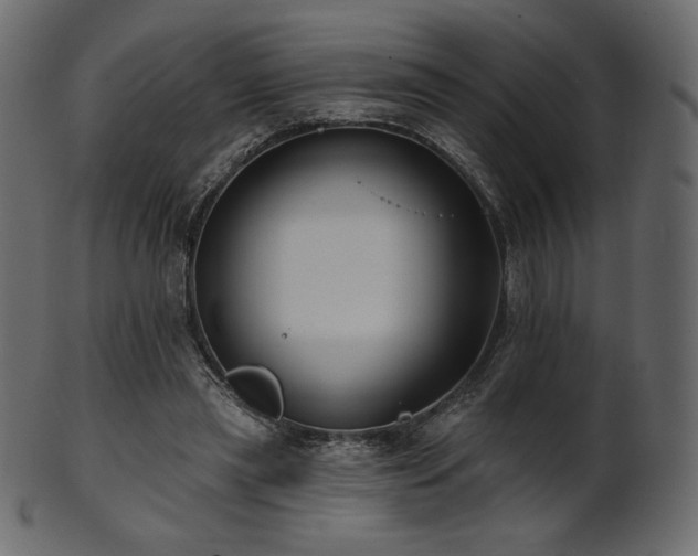 X0000102020445200807181330