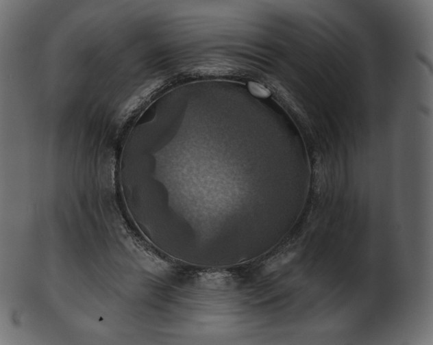 X0000102020446200807181330