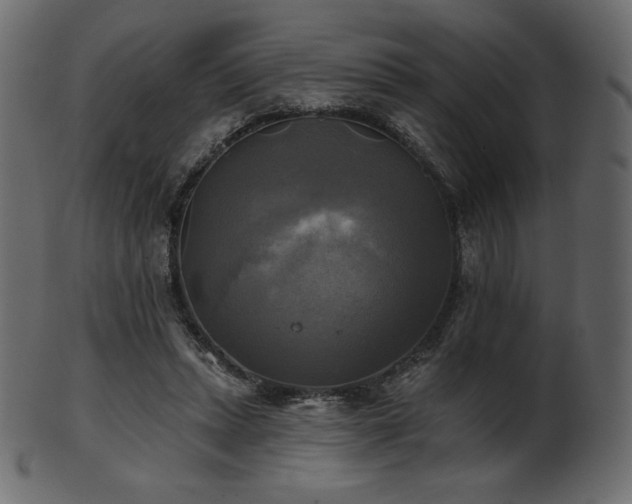 X0000102020447200807181330
