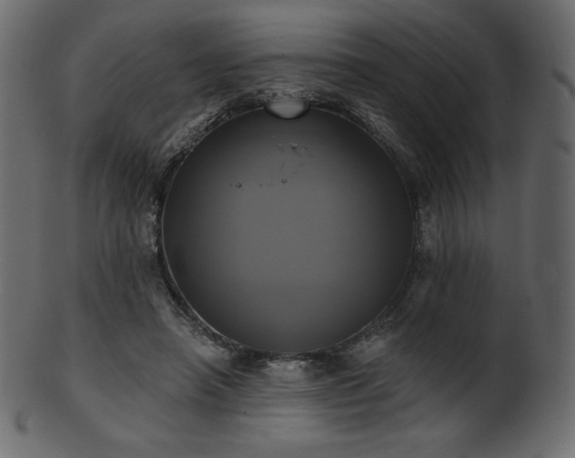 X0000102020450200807181330