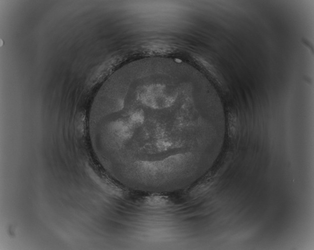 X0000102020451200807181330