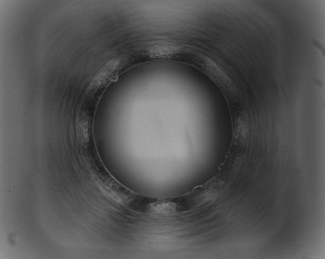 X0000102020452200807181330