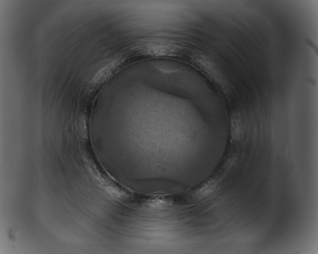 X0000102020453200807181330