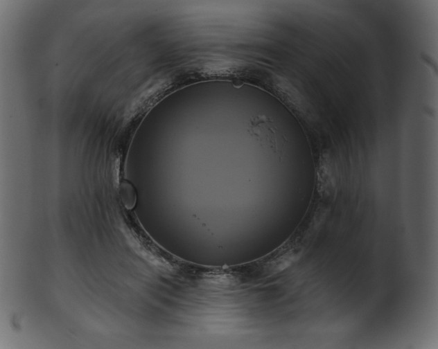 X0000102020454200807181330
