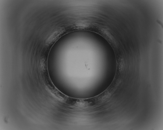 X0000102020455200807181330