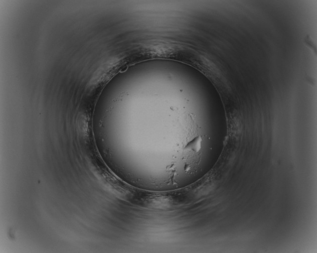 X0000102020456200807181330