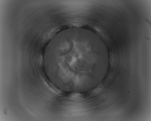 X0000102020459200807181330