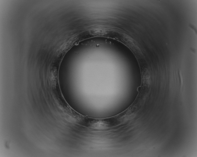 X0000102020460200807181330