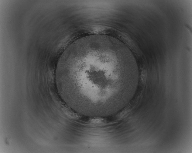 X0000102020461200807181330