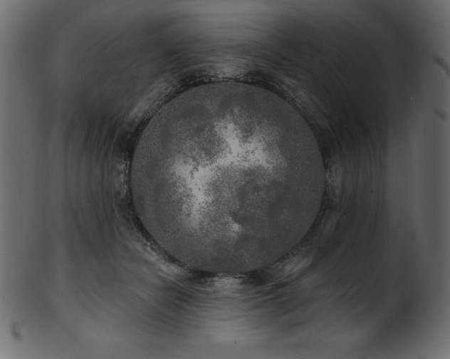 X0000102020462200807181330