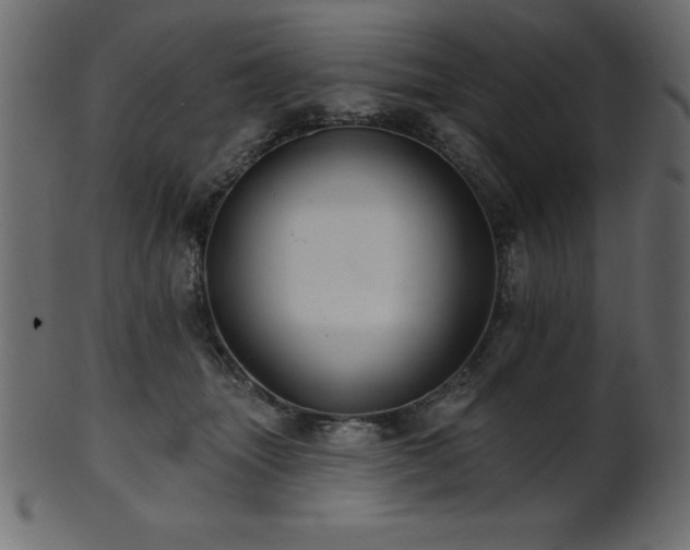 X0000102020463200807181330