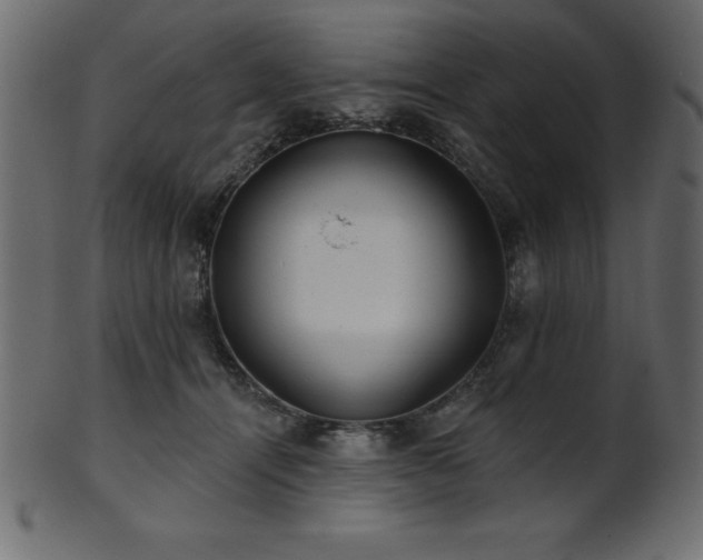 X0000102020464200807181330