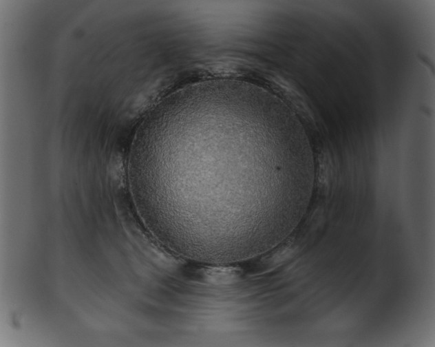 X0000102020465200807181330