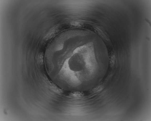 X0000102020466200807181330