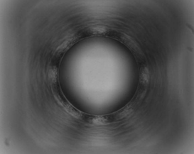 X0000102020468200807181330