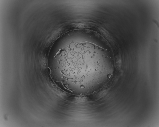 X0000102020469200807181330