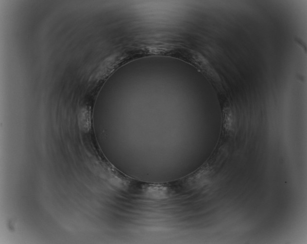 X0000102020471200807181331