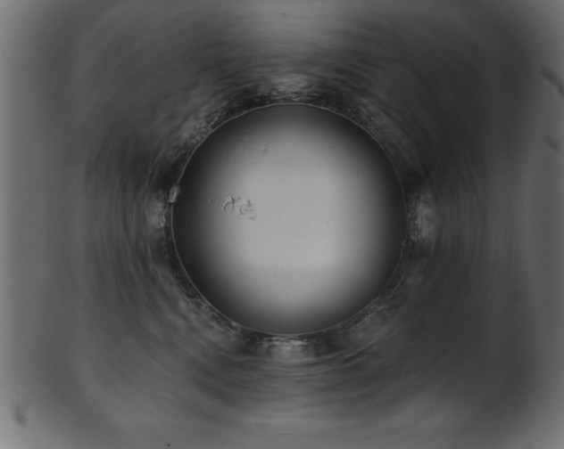 X0000102020472200807181331