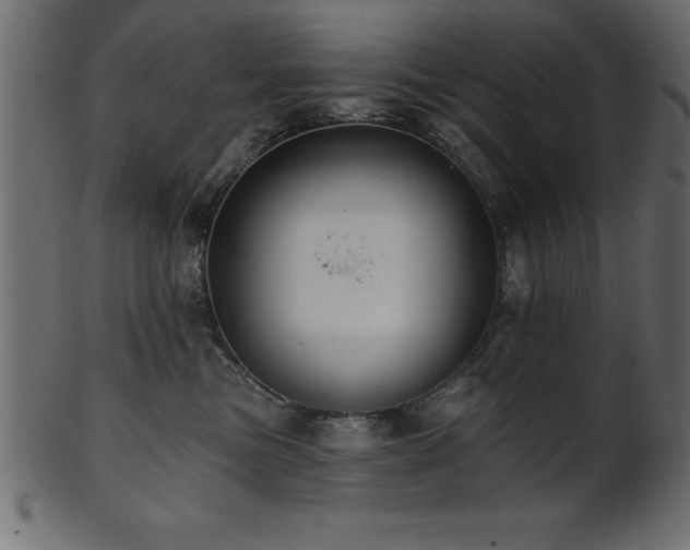 X0000102020473200807181331