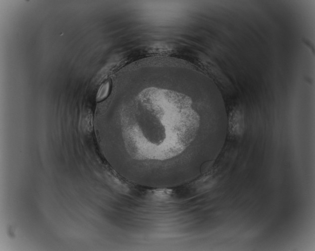 X0000102020474200807181331