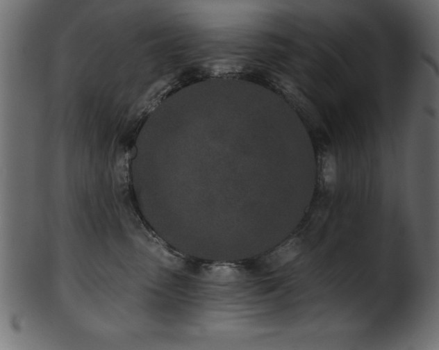 X0000102020475200807181331
