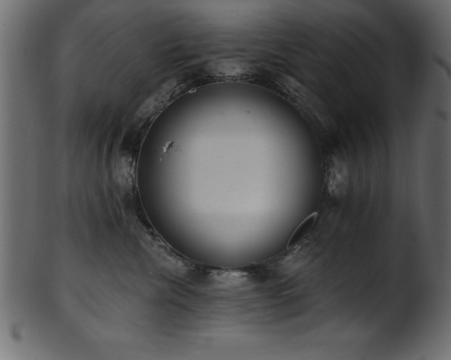 X0000102020476200807181331