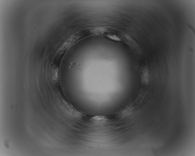 X0000102020477200807181331