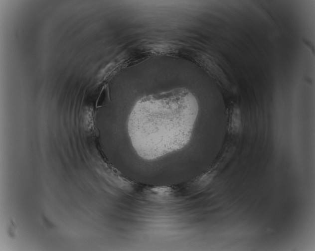 X0000102020478200807181331