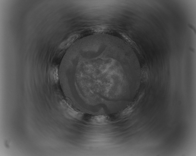 X0000102020479200807181331