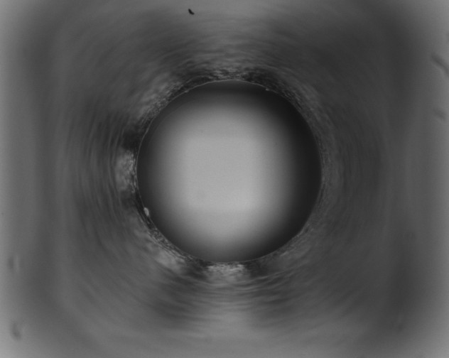 X0000102020480200807181331