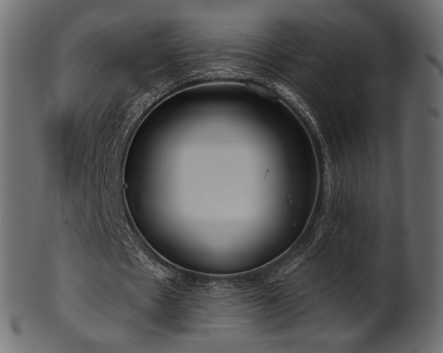 X0000102020481200807181330