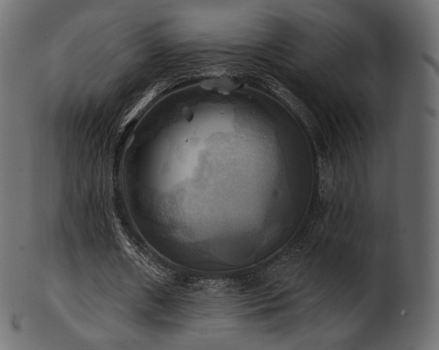 X0000102020482200807181330