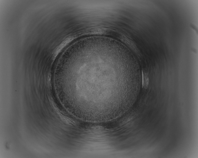 X0000102020483200807181330