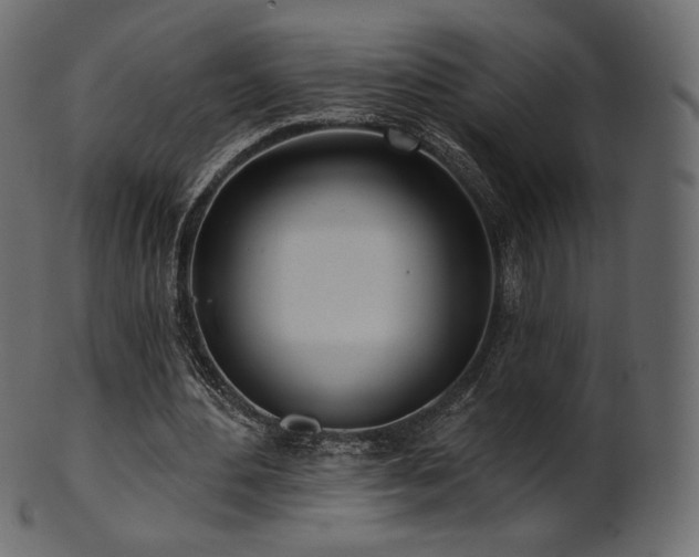 X0000102020484200807181330