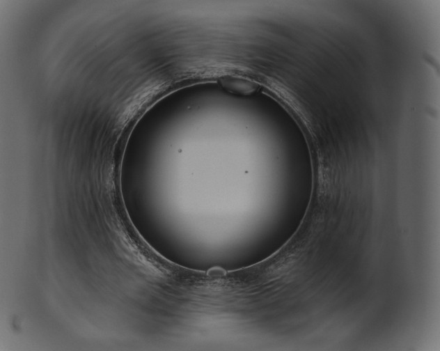 X0000102020485200807181330