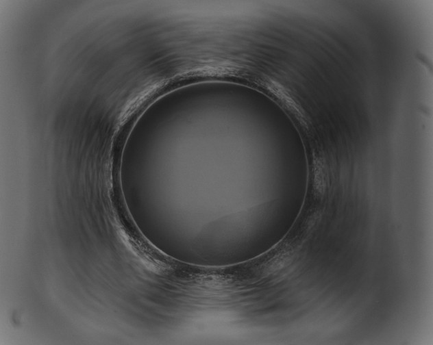 X0000102020486200807181330