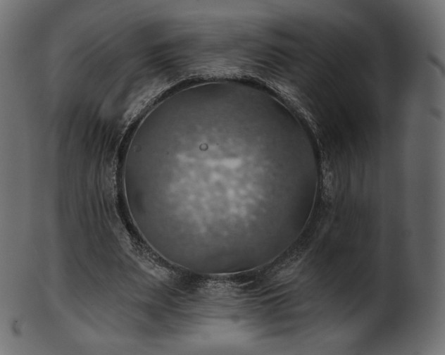X0000102020487200807181330