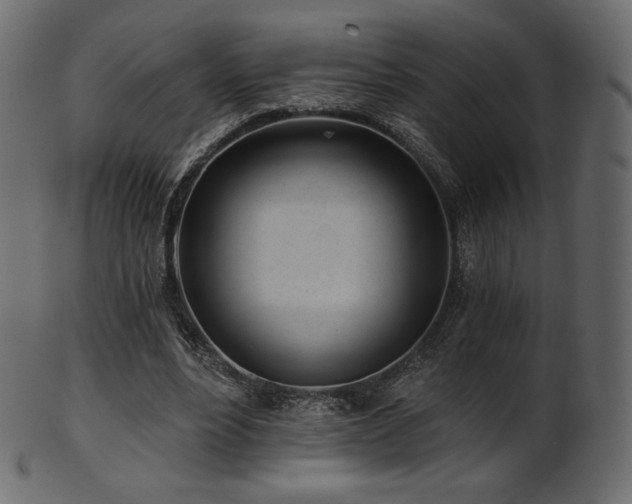 X0000102020488200807181330