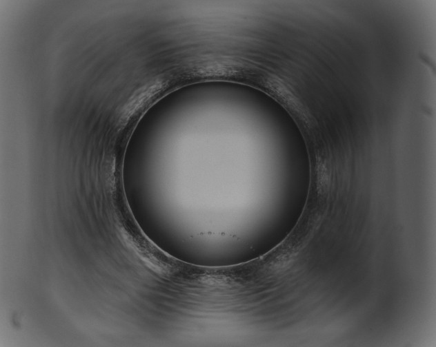 X0000102020490200807181330