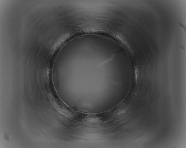 X0000102020491200807181330