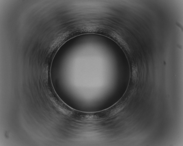 X0000102020493200807181330