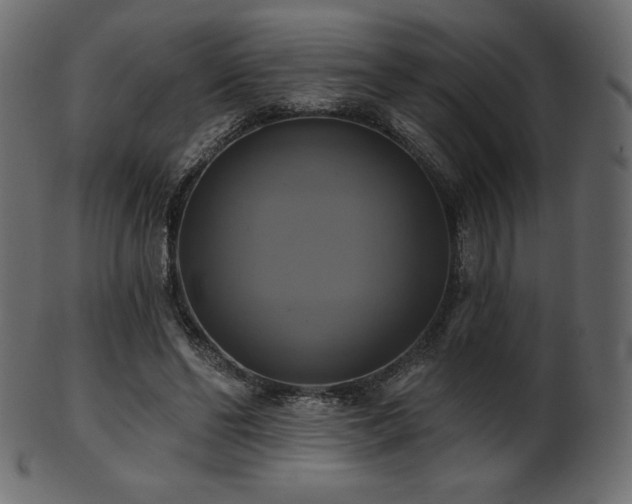 X0000102020494200807181330