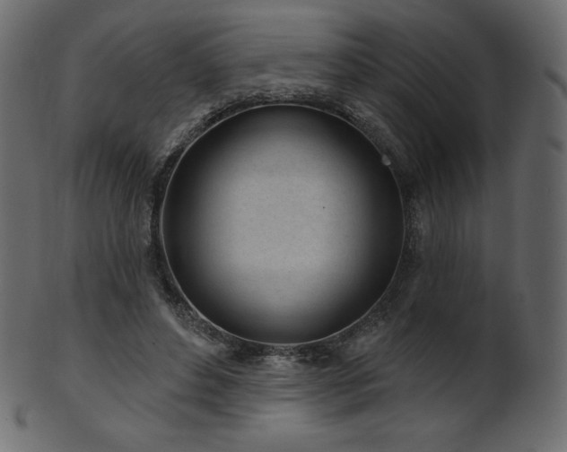 X0000102020496200807181330