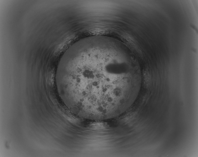 X0000102020499200807181330